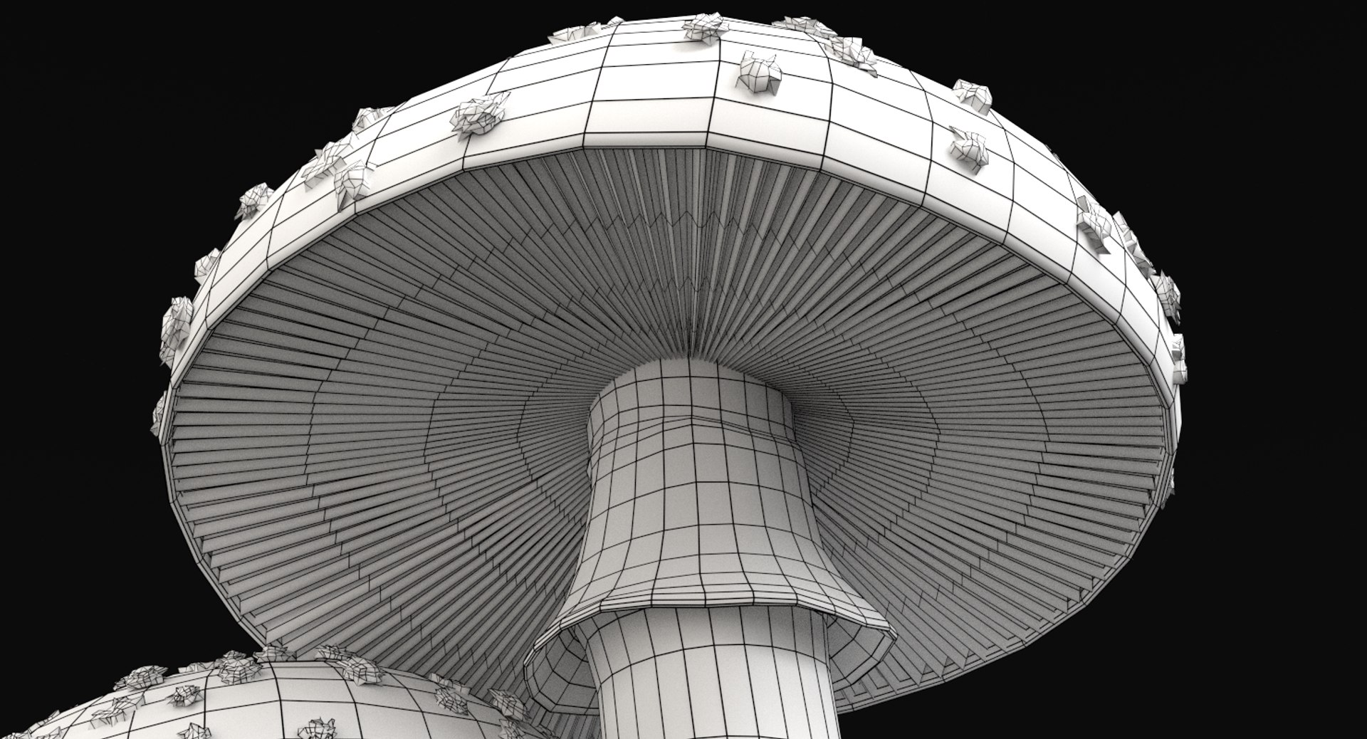 set mushrooms 3d model https://p.turbosquid.com/ts-thumb/U7/WeWFbR/fR5ATv0P/wireframe2/png/1432666148/1920x1080/fit_q87/6180a6eadc232c0eefda3c95f798e3eb79bcab12/wireframe2.jpg