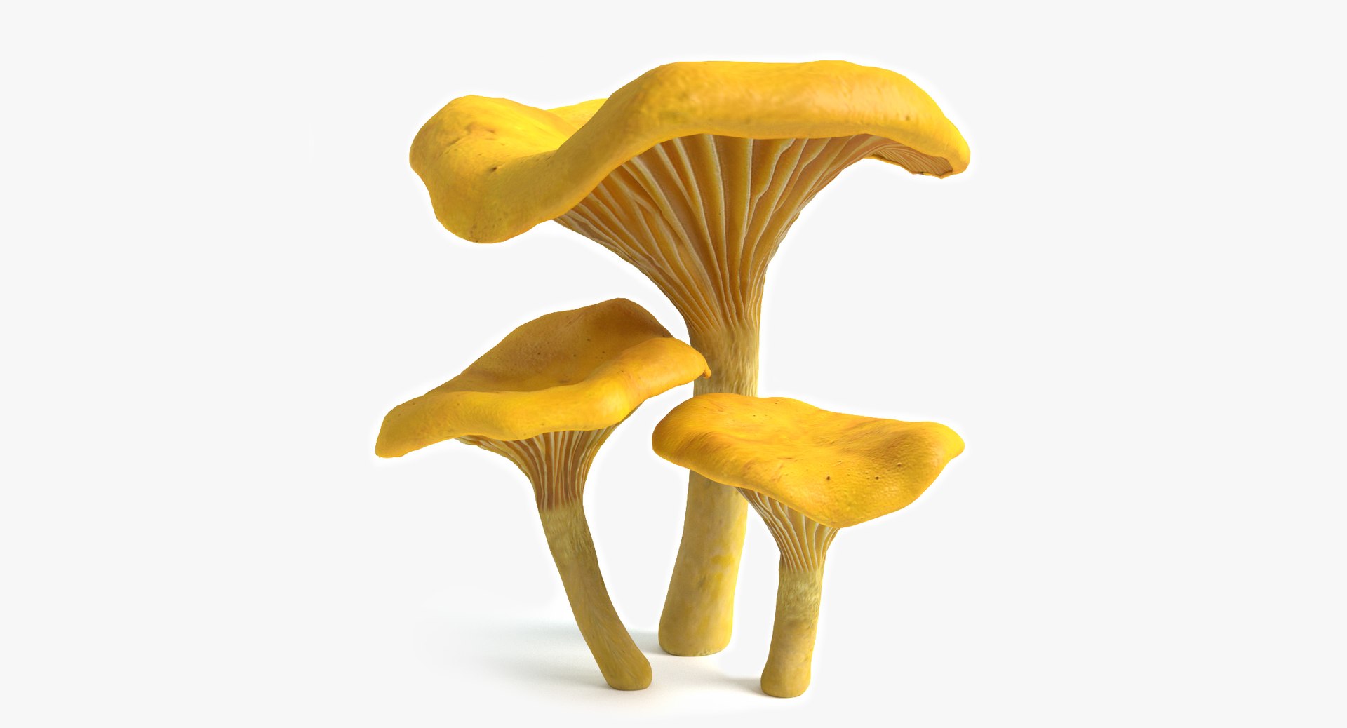 set mushrooms 3d model https://p.turbosquid.com/ts-thumb/U7/WeWFbR/is0o8uCR/thumbnail_1/jpg/1432666185/1920x1080/fit_q87/afaeba9cef361f2cd7fef044ab106879b25d6c46/thumbnail_1.jpg