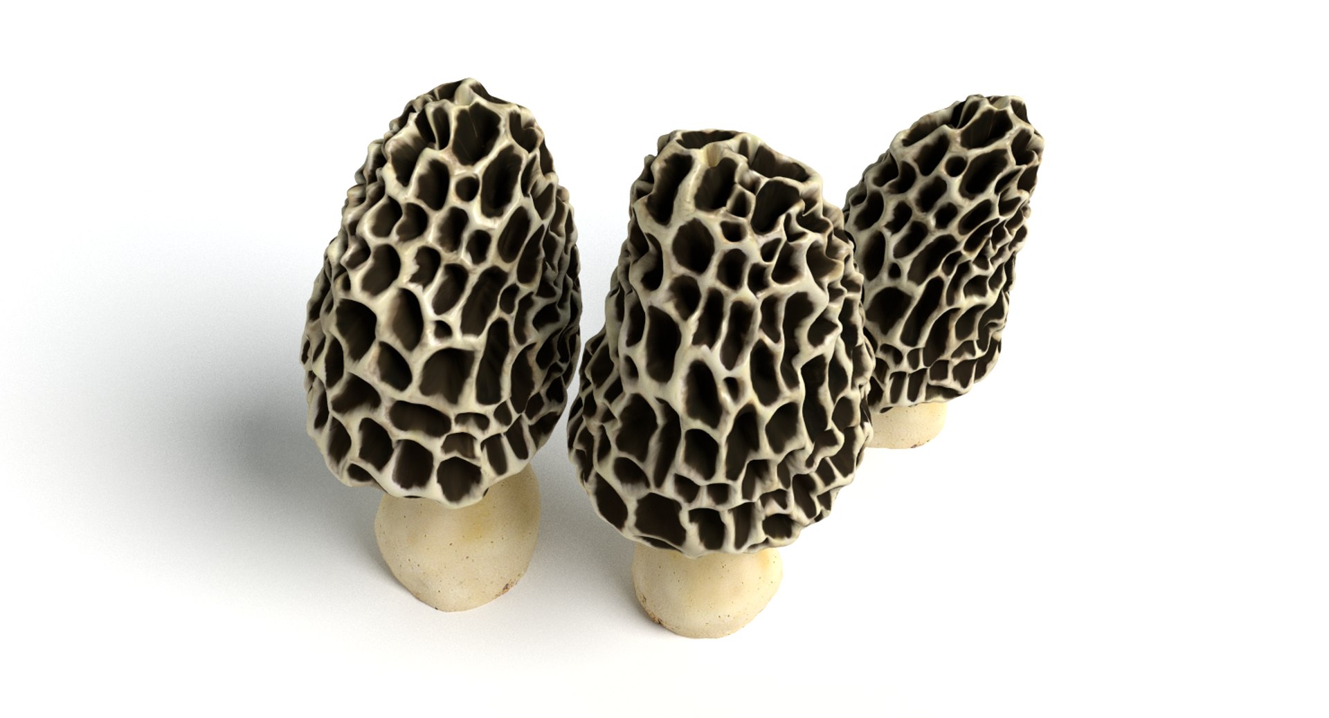 set mushrooms 3d model https://p.turbosquid.com/ts-thumb/U7/WeWFbR/nRSU82XW/thumbnail_2/png/1432666171/1920x1080/fit_q87/c0972b700eebf68300f628dd237928aec1056490/thumbnail_2.jpg