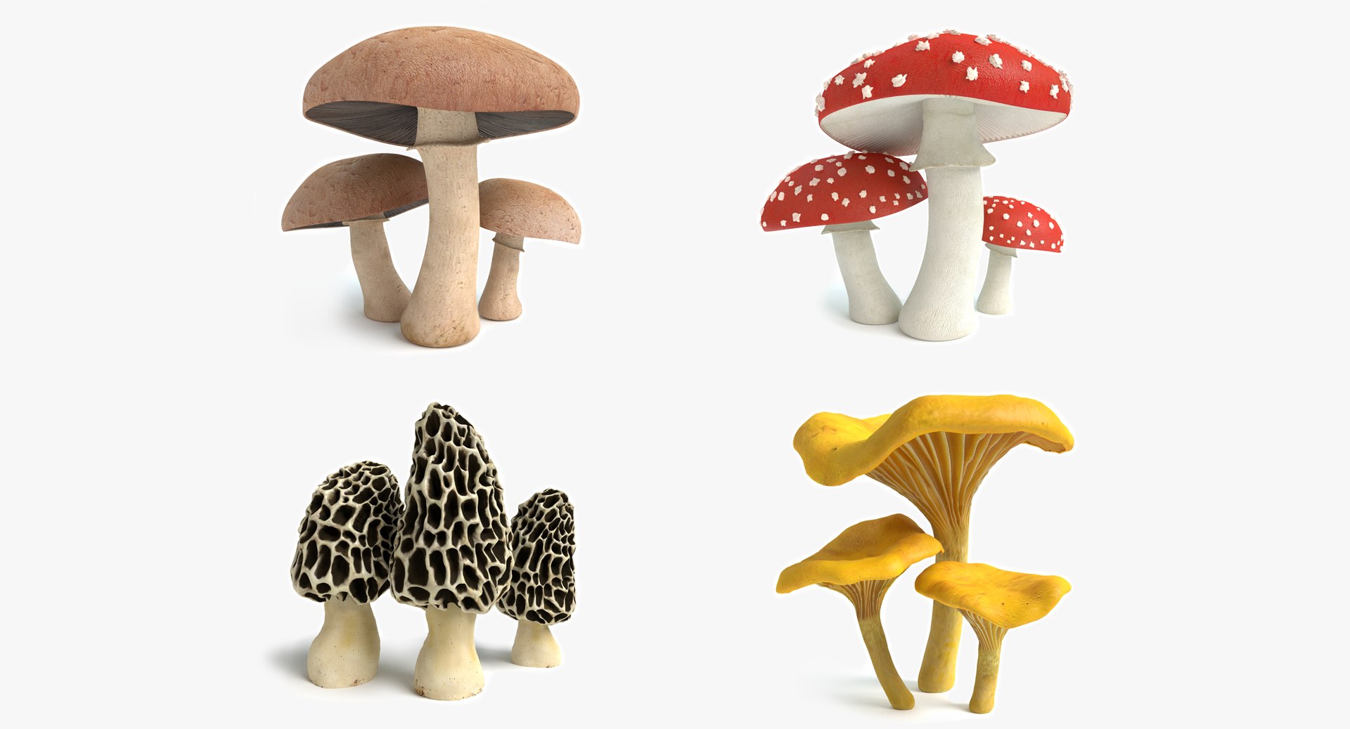 set mushrooms 3d model https://p.turbosquid.com/ts-thumb/U7/WeWFbR/phv5fsjv/thumbnail_1/png/1432666869/1920x1080/fit_q87/630e1ae502ab8bd34a0ace8e14c45296b1863cda/thumbnail_1.jpg