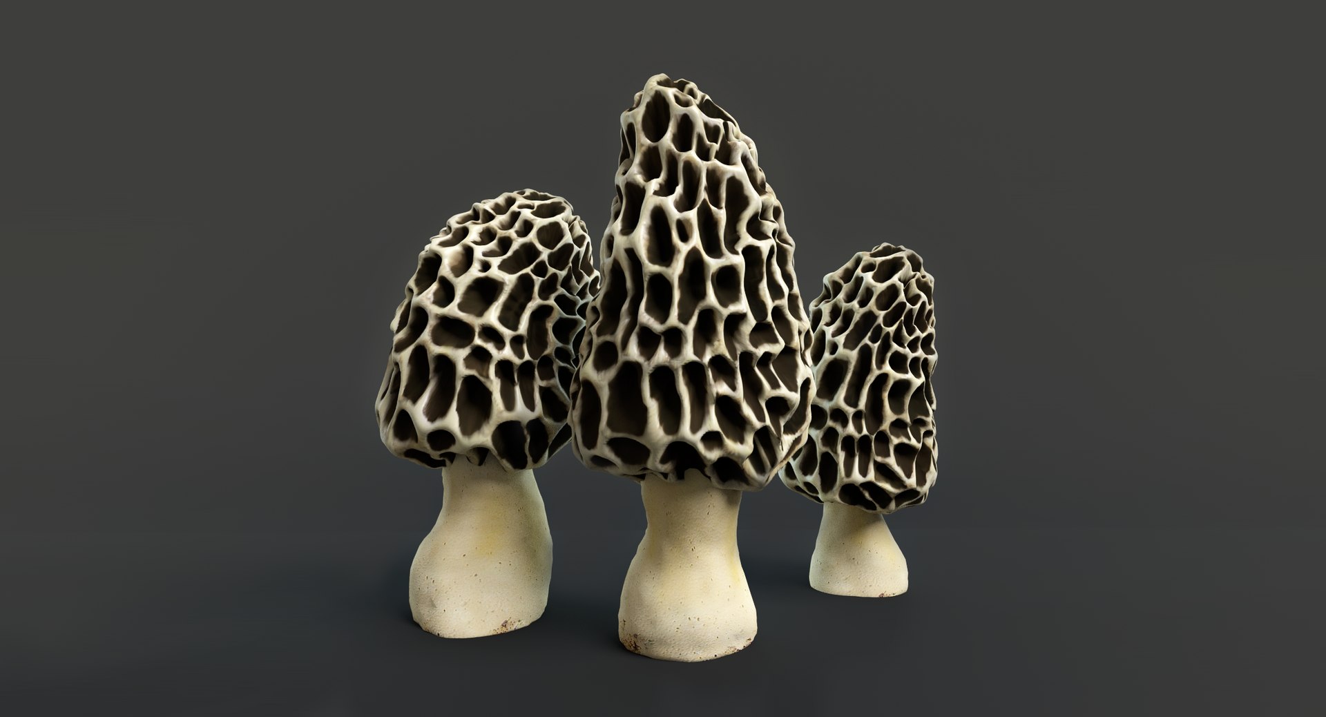set mushrooms 3d model https://p.turbosquid.com/ts-thumb/U7/WeWFbR/sDLup73t/thumbnail_5/png/1432666171/1920x1080/fit_q87/b89031f8fa5501f730f47ca389fabd6adc903008/thumbnail_5.jpg
