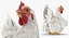 3D white chicken rigged