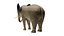 Modèle 3D d'éléphant truqué et animé