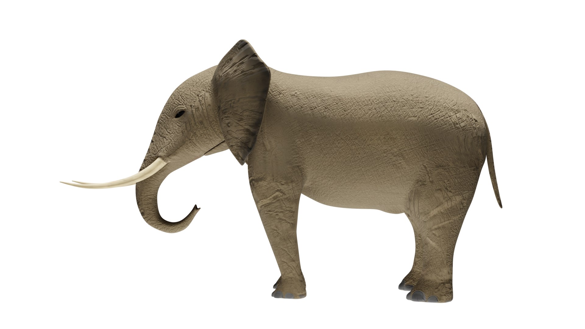 Elephant 3D Model Rigged and Animated model https://p.turbosquid.com/ts-thumb/U7/ezacKN/PO/elephant1/png/1730511805/1920x1080/fit_q87/224972173bf0e0a8d94701bd24525bb995774678/elephant1.jpg