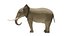 Modèle 3D d'éléphant truqué et animé