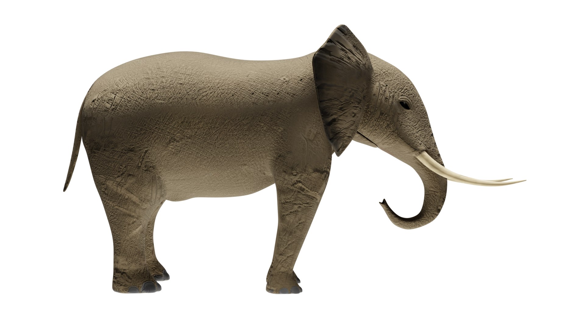 Elephant 3D Model Rigged and Animated model https://p.turbosquid.com/ts-thumb/U7/ezacKN/Uw/elephant2/png/1730511810/1920x1080/fit_q87/9e535be80cad7945bbecf4c67bc67336a81eb3f3/elephant2.jpg