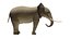 Modèle 3D d'éléphant truqué et animé