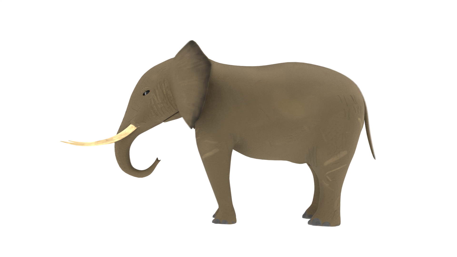 Elephant 3D Model Rigged and Animated model https://p.turbosquid.com/ts-thumb/U7/ezacKN/d2/elephant/png/1730511871/1920x1080/turn_fit_q99/fe307b1f6102711f57632d423441323d10ad69e2/elephant-1.jpg