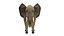 Modèle 3D d'éléphant truqué et animé