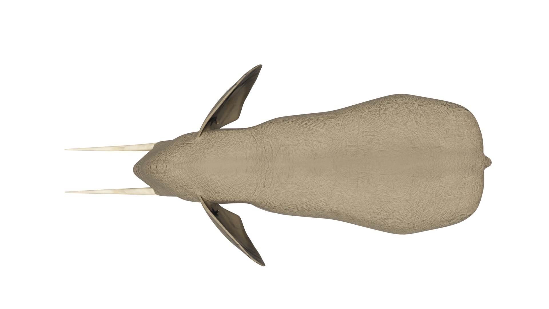 Elephant 3D Model Rigged and Animated model https://p.turbosquid.com/ts-thumb/U7/ezacKN/u1/elephant5/png/1730511816/1920x1080/fit_q87/91f6bf64092375edc7f44fd94135f89c4456c8d6/elephant5.jpg
