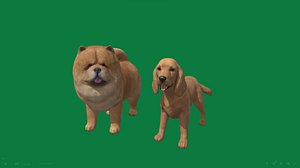 CHOW CHOW AND COCKERSPANIEL 3D model