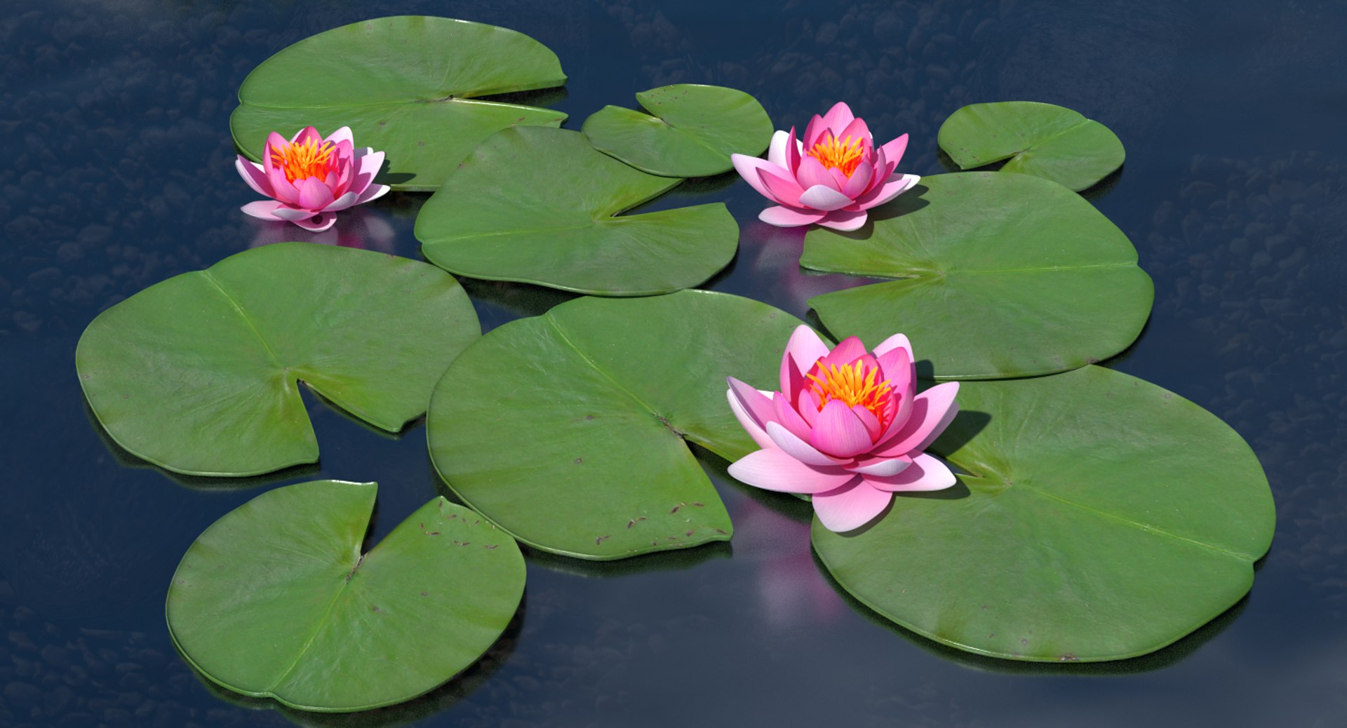 3d model water lily https://p.turbosquid.com/ts-thumb/U7/gFHOB4/VdWmHEer/thumbnail_water/png/1461022264/1920x1080/fit_q87/5d5e03a784201d9eca57368c23ef6feb0babdc2d/thumbnail_water.jpg