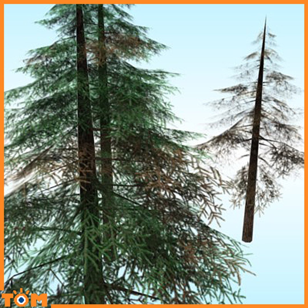 conifers low-poly pine trees blend https://p.turbosquid.com/ts-thumb/U7/idvhS1/43Hj1Q8q/3/jpg/1255802645/1920x1080/fit_q87/cec0dccfd03536b9661b663506c708418ac35bc4/3.jpg
