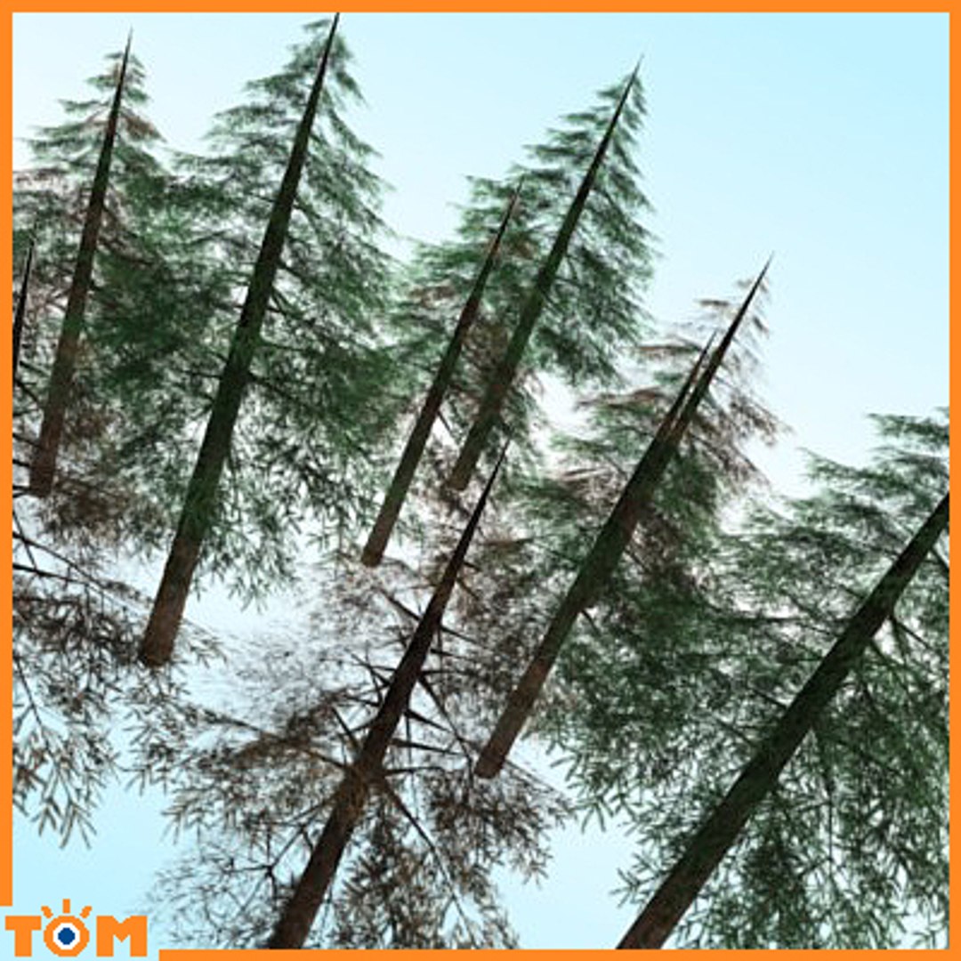 conifers low-poly pine trees blend https://p.turbosquid.com/ts-thumb/U7/idvhS1/F4mbaVam/5/jpg/1255802654/1920x1080/fit_q87/6cedf15f6885f59ab7df4223a6d018fbde3c352d/5.jpg