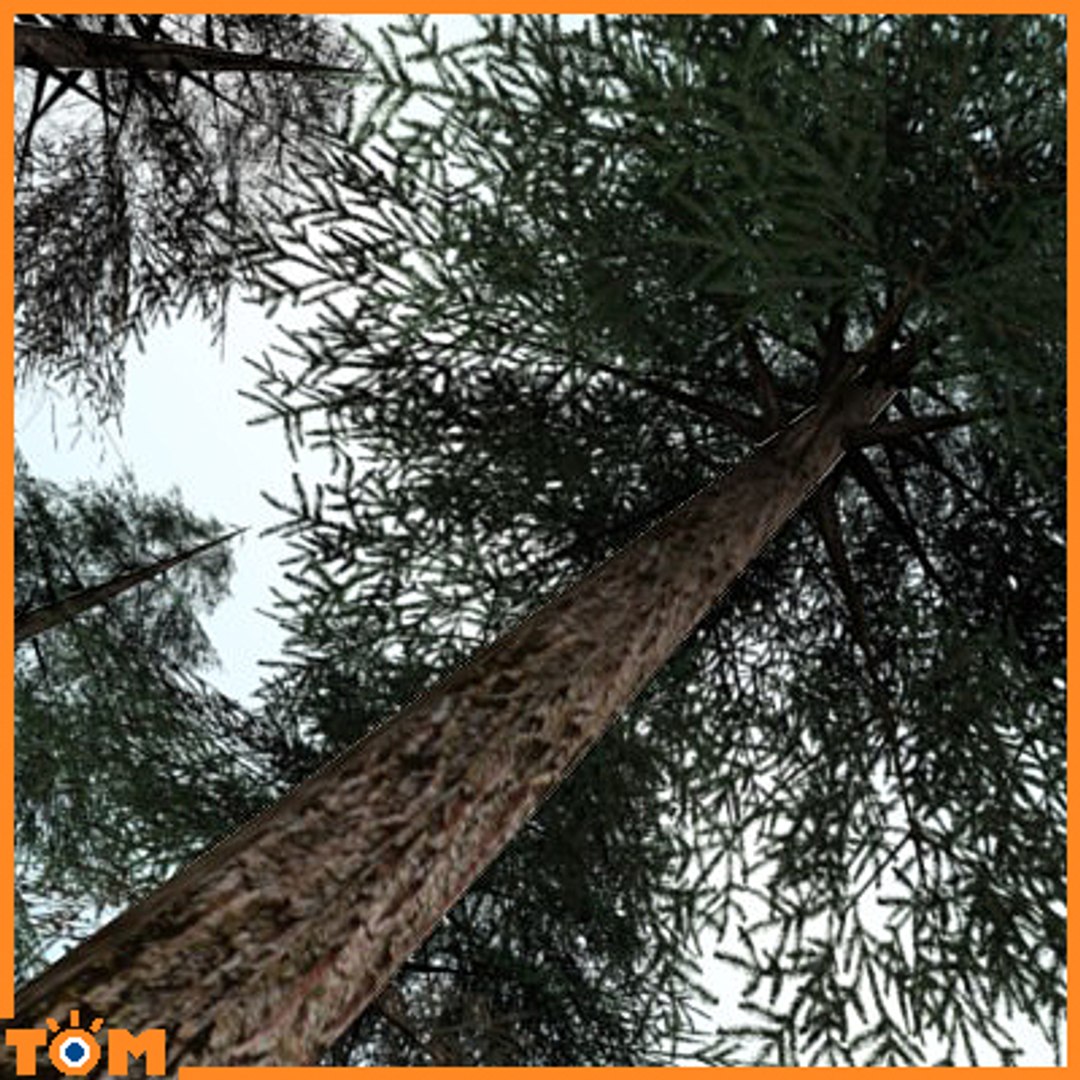 conifers low-poly pine trees blend https://p.turbosquid.com/ts-thumb/U7/idvhS1/bnZ65L6I/6/jpg/1255802658/1920x1080/fit_q87/88620ed8f4c5cdd94062a84de9f7f16a075ed731/6.jpg