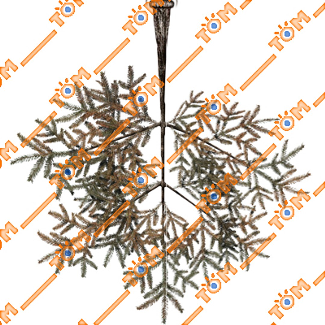 conifers low-poly pine trees blend https://p.turbosquid.com/ts-thumb/U7/idvhS1/lGJBPTSy/12/jpg/1260730142/1920x1080/fit_q87/835f2bbbecf5cccce945b7c5afef85c0bc9be379/12.jpg
