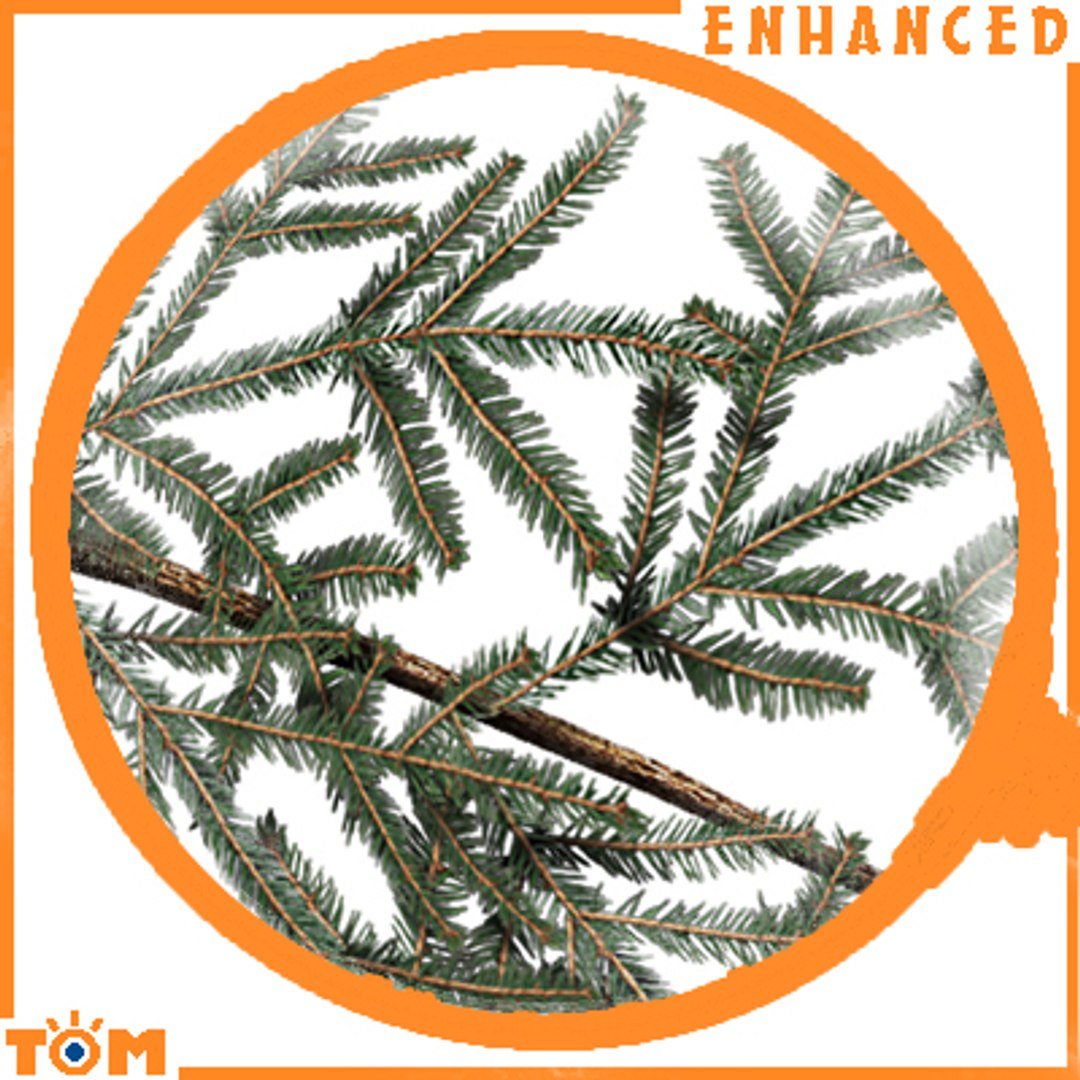 conifers low-poly pine trees blend https://p.turbosquid.com/ts-thumb/U7/idvhS1/nCpsywq7/13/jpg/1260730146/1920x1080/fit_q87/8da5148f75342acd6e37ee5004eaf544a83268f3/13.jpg