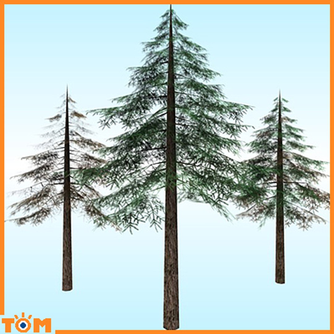 conifers low-poly pine trees blend https://p.turbosquid.com/ts-thumb/U7/idvhS1/noN2HMEj/1/jpg/1255802637/1920x1080/fit_q87/da57bbd4d76c8c891e81903e8032740422c06292/1.jpg