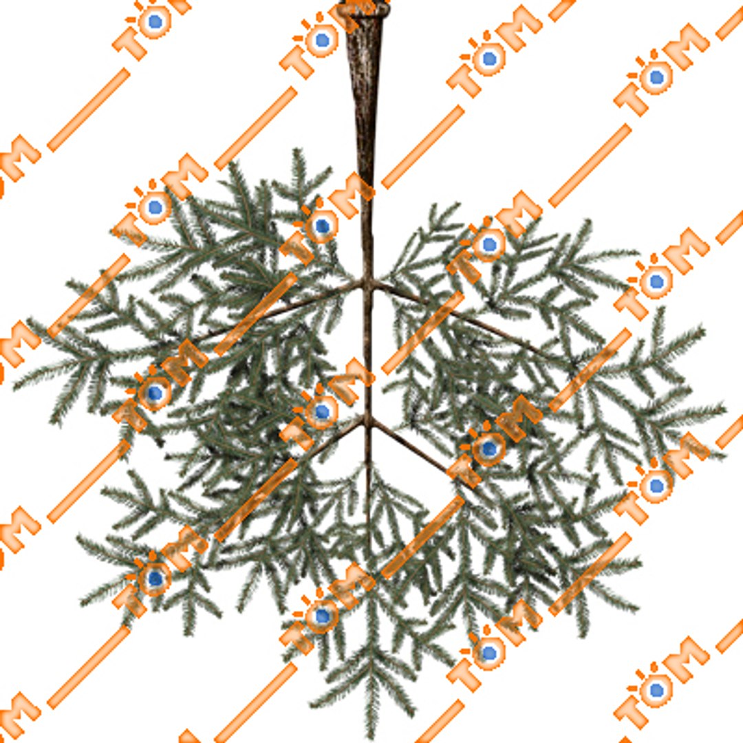 conifers low-poly pine trees blend https://p.turbosquid.com/ts-thumb/U7/idvhS1/osYYlbDf/9/jpg/1260730154/1920x1080/fit_q87/583e1b6e7311c8756057ef67b2761653f6a94914/9.jpg