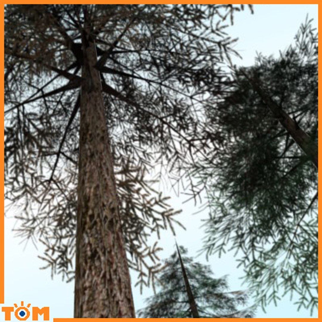 conifers low-poly pine trees blend https://p.turbosquid.com/ts-thumb/U7/idvhS1/r3akkl4j/4/jpg/1255802650/1920x1080/fit_q87/4ee67c4f2195155b68938704ab43b61534271428/4.jpg