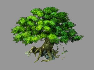 3D forgetful forest - big model