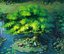 Forgetful Forest - Big Banyan Tree 33