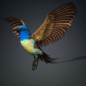 3D Pheasant Bird-B1