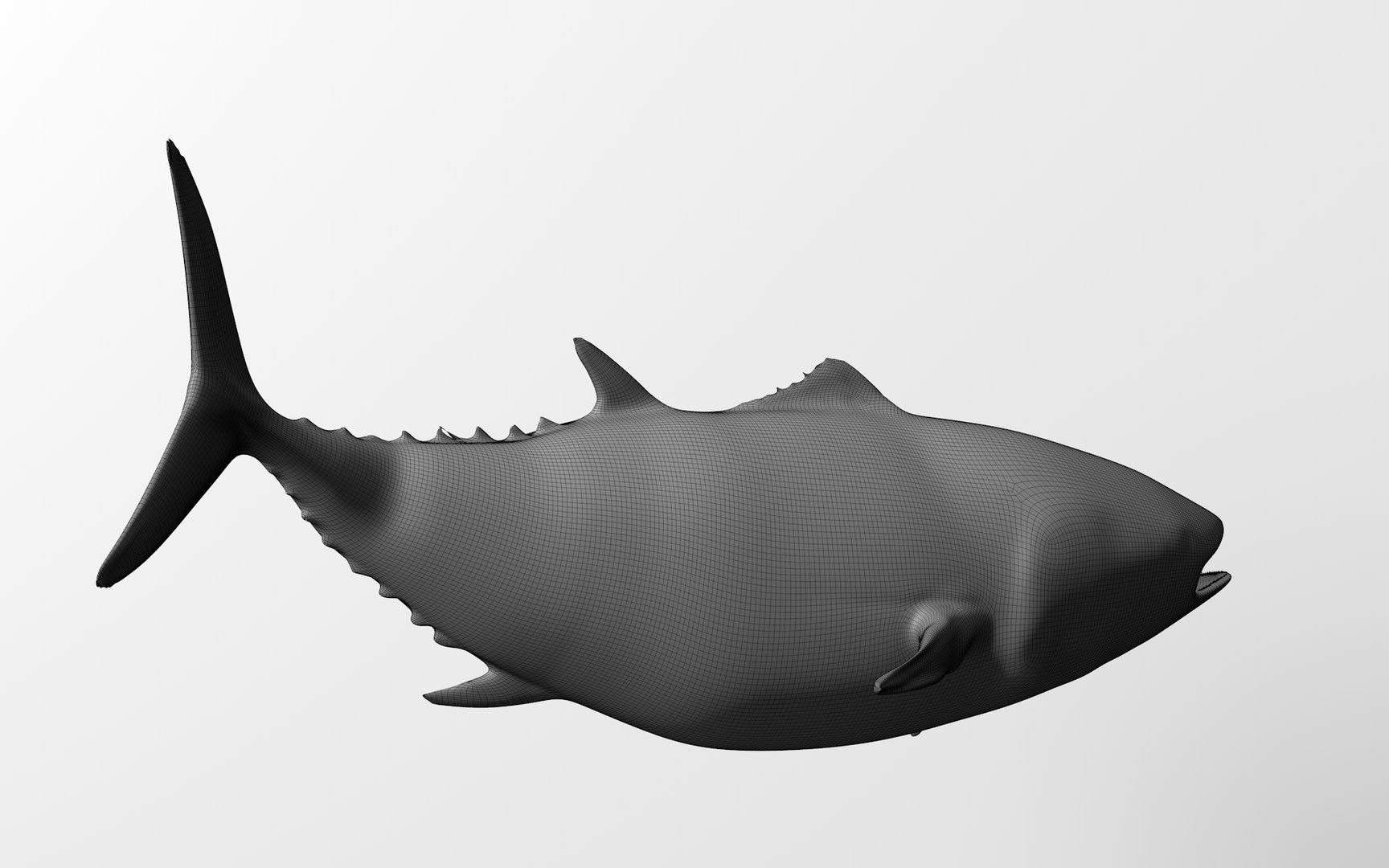 TUNA FISH Rigged  L1892 3D https://p.turbosquid.com/ts-thumb/U8/A9Wk3H/NF/61_0050/png/1671565257/1920x1080/fit_q87/f21949365fd176683ac573121edcb1a527ed4e4a/61_0050.jpg
