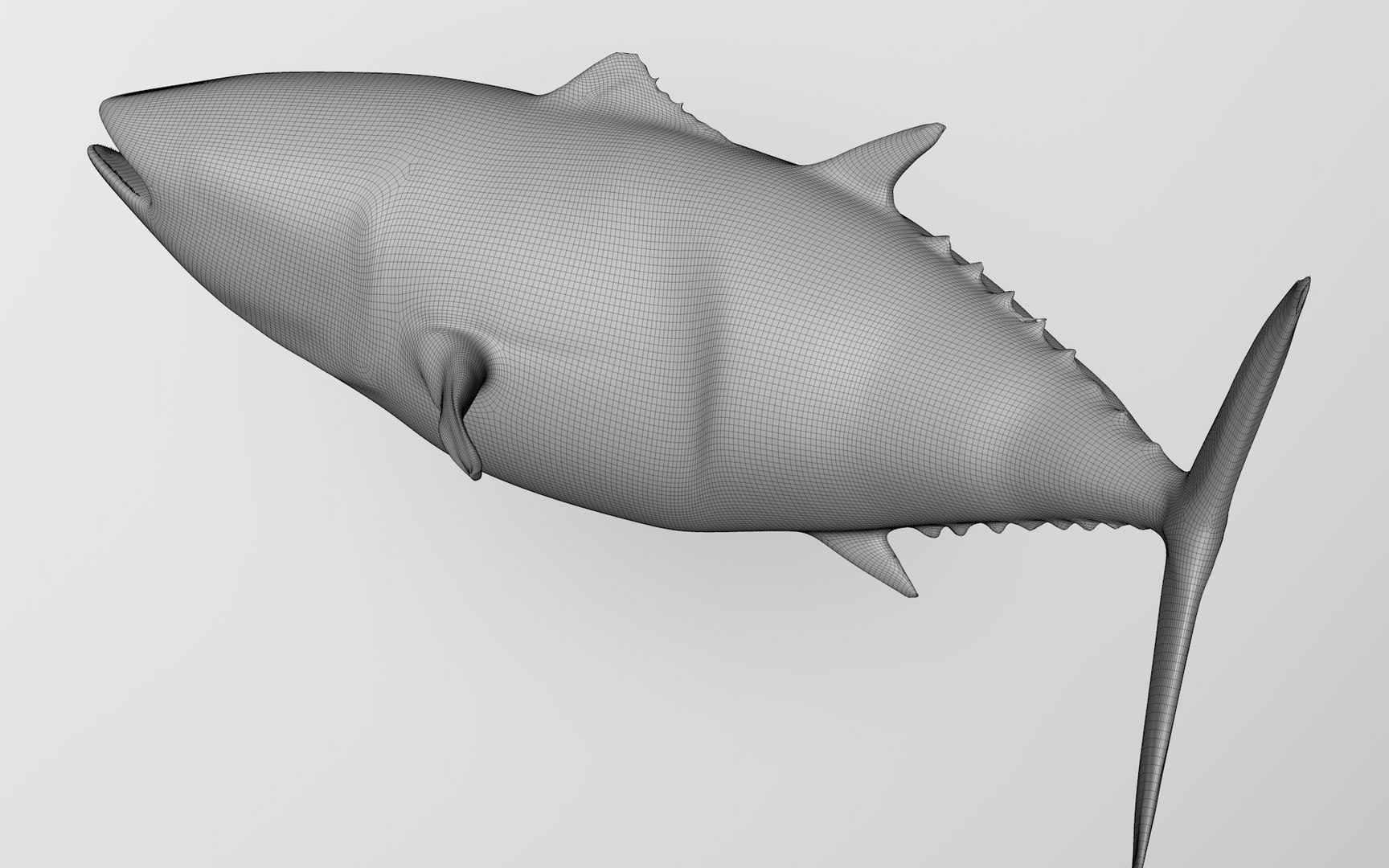 TUNA FISH Rigged  L1892 3D https://p.turbosquid.com/ts-thumb/U8/A9Wk3H/fC/54_0032/png/1671565243/1920x1080/fit_q87/9ce676976357a5f7e4eadf89e7299a236f7894a3/54_0032.jpg