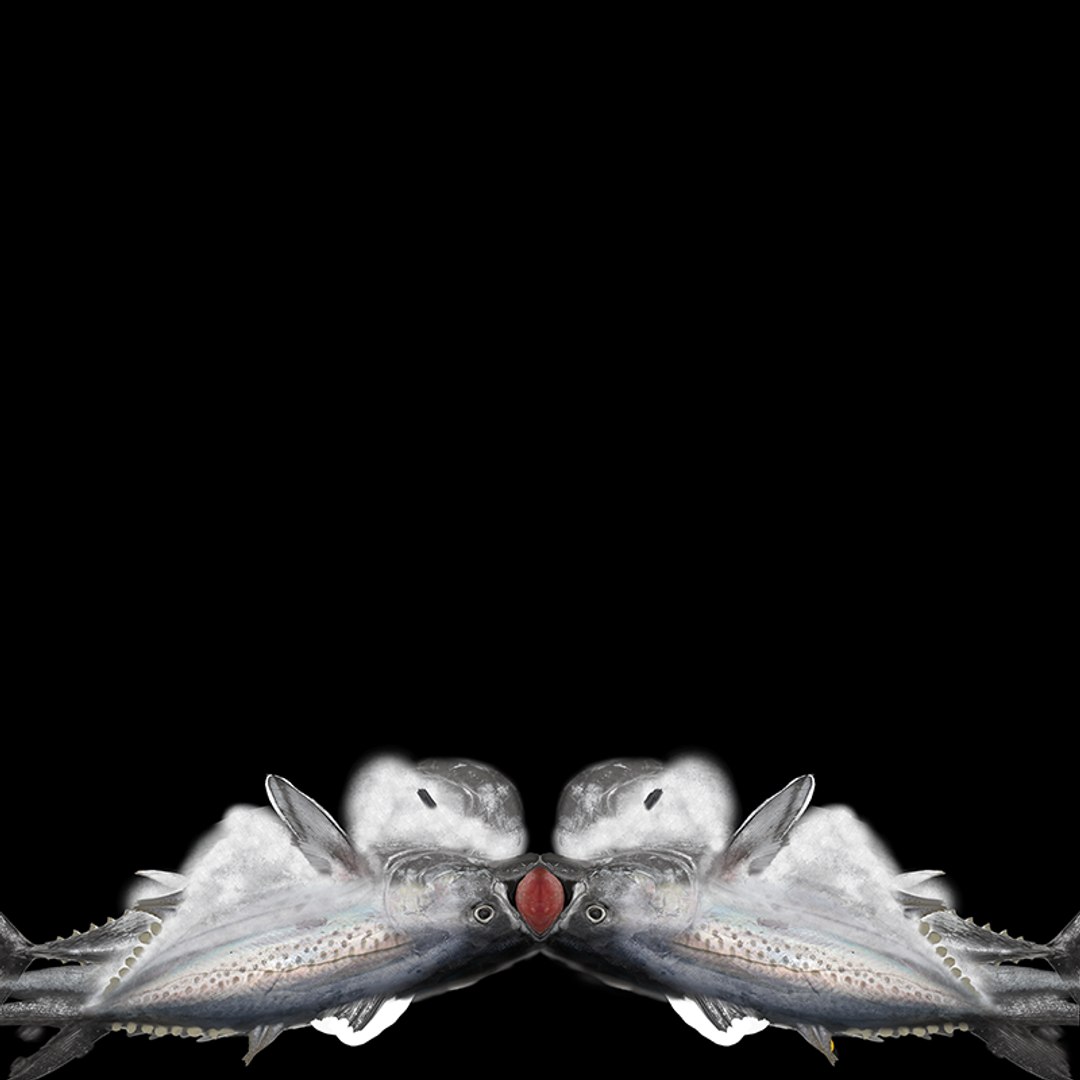 TUNA FISH Rigged  L1892 3D https://p.turbosquid.com/ts-thumb/U8/A9Wk3H/pS/uv/png/1671565178/1920x1080/fit_q87/b9c42338ca99774b949cd00c70f61d3b0e19e62c/uv.jpg