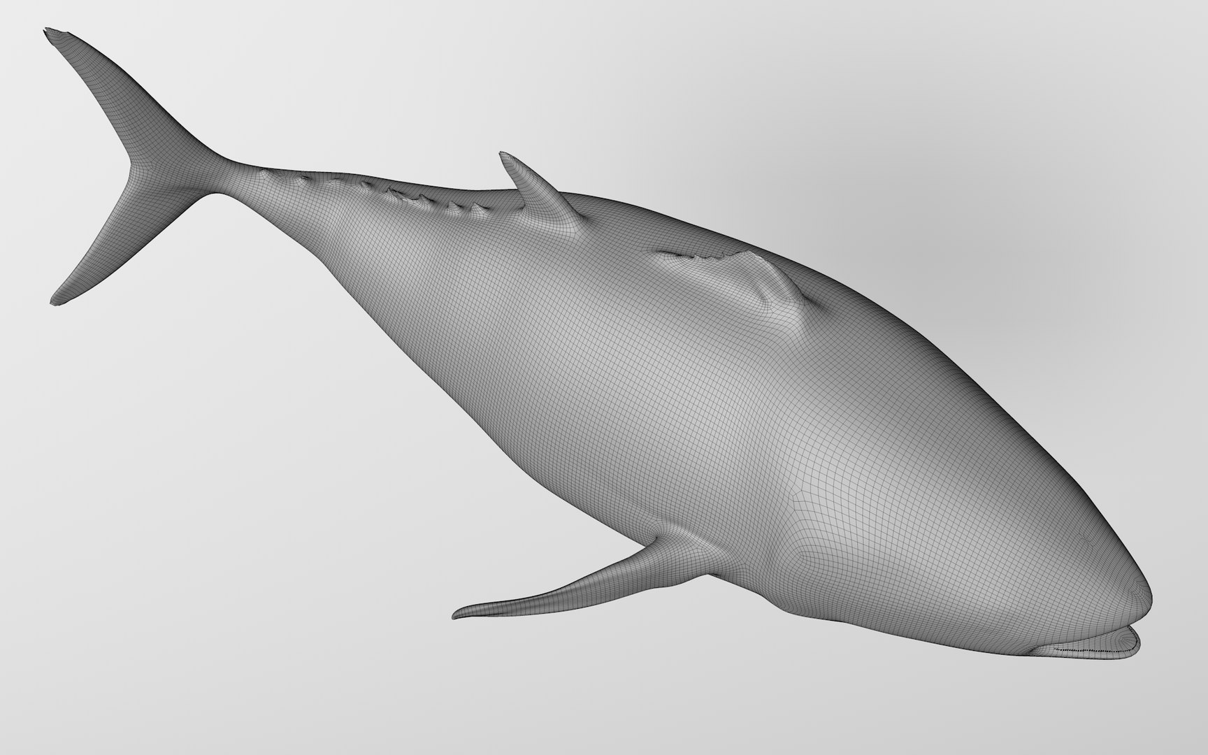 TUNA FISH Rigged  L1892 3D https://p.turbosquid.com/ts-thumb/U8/A9Wk3H/x4/57_0050/png/1671565251/1920x1080/fit_q87/31d808a6571966d0b86de36d48fc7a7a2608a7bb/57_0050.jpg
