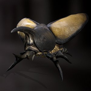 3D Rhinoceros beetle