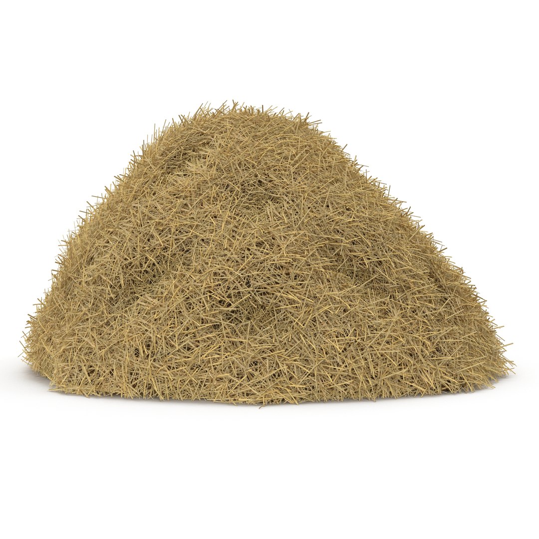 Hay Pile 2 3D model preview