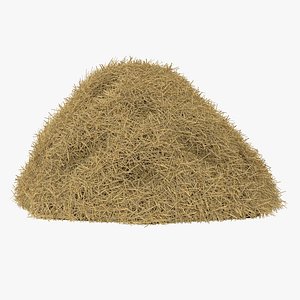 Hay Pile 2