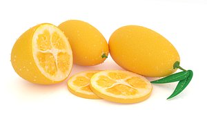 kumquat 3D model