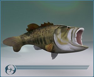 Big Mouth Bass