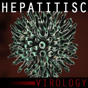 3d hepatitis c virus