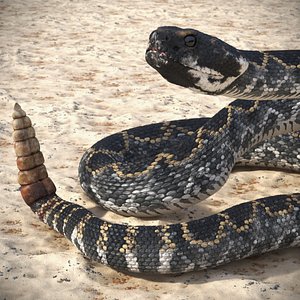 Rattlesnake Attack Animated Rigged