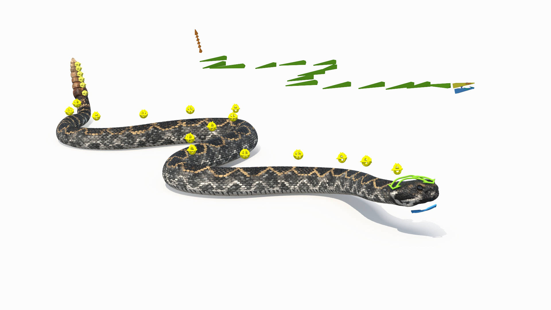 3D Rattlesnake Attack Animated Rigged model https://p.turbosquid.com/ts-thumb/U8/Wk3K5S/pg/rattlesnake_attack_animated_rigged_362/jpg/1761261125/1920x1080/turn_fit_q99/efecd9eb1e8bbf753e74d62c3ce4a3cf78c9800c/rattlesnake_attack_animated_rigged_362-1.jpg