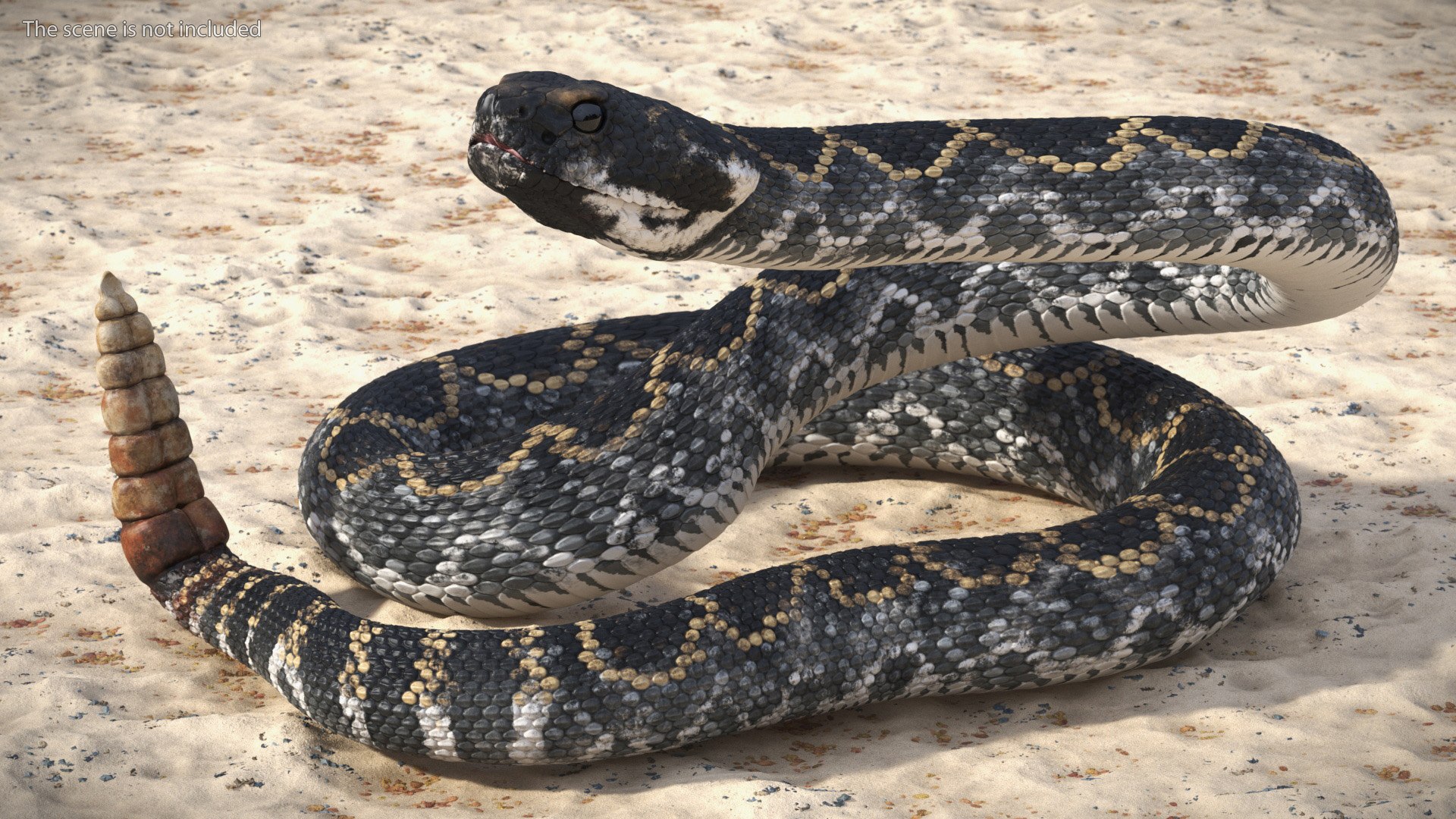 3D Rattlesnake Attack Animated Rigged model https://p.turbosquid.com/ts-thumb/U8/Wk3K5S/tw/rattlesnake_attack_animated_rigged_002/jpg/1761260954/1920x1080/fit_q87/201b05f56fd8472df7c32605704c5b38385091c3/rattlesnake_attack_animated_rigged_002.jpg