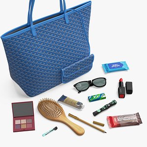 3D Lady's Bag and Its Contents Collection model