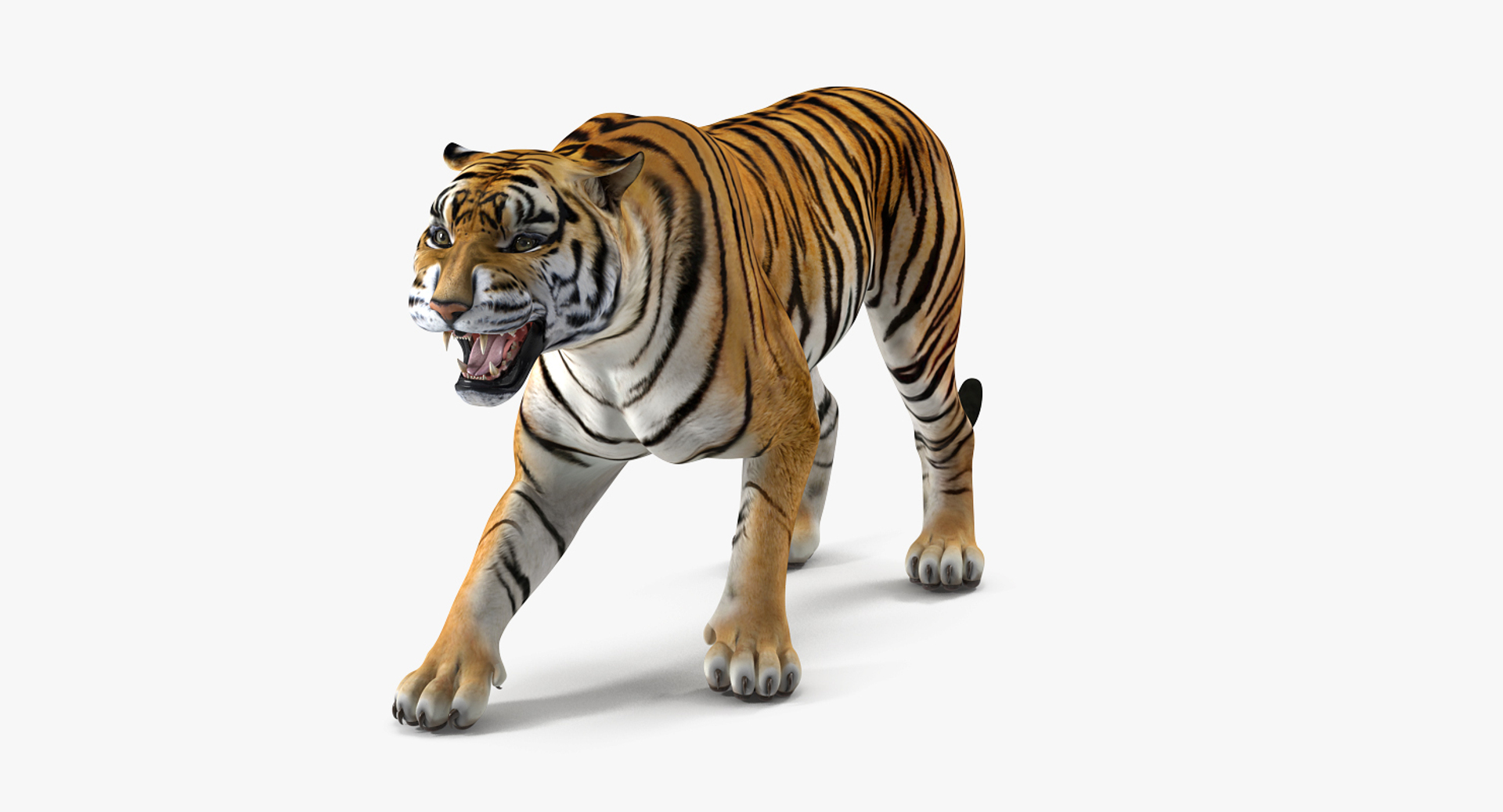 3D Model: Tiger Roar ~ Buy Now #90996497