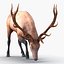 elk rigged animate 3d model