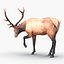 elk rigged animate 3d model