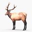 elk rigged animate 3d model