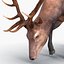 elk rigged animate 3d model