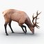 elk rigged animate 3d model