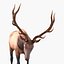 elk rigged animate 3d model