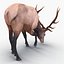 elk rigged animate 3d model