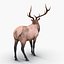elk rigged animate 3d model